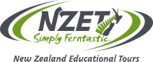 NZET logo